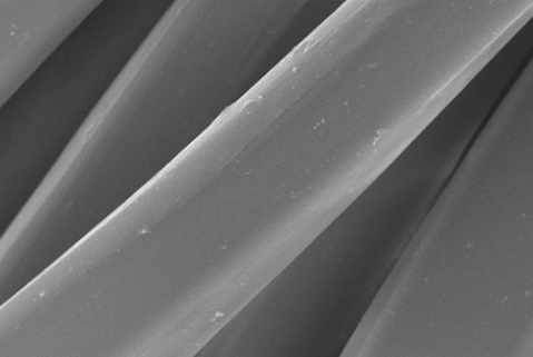 日立高新场发射扫描电子显微镜 SU8220 租售