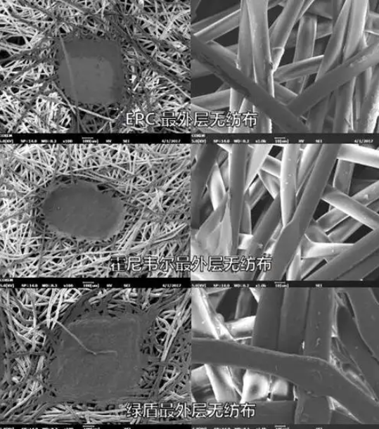 日立高新场发射扫描电子显微镜 SU8220 租售