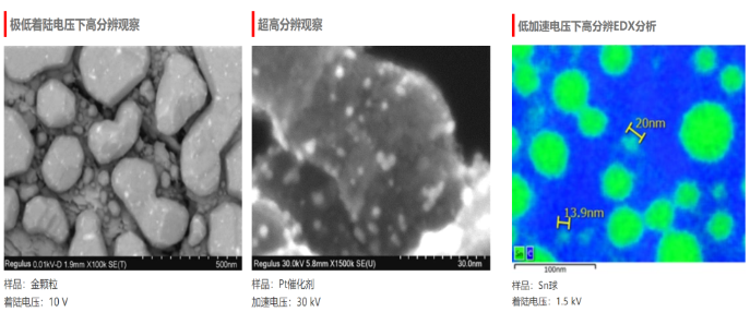 日立高新场发射扫描电子显微镜 SU8220 租售